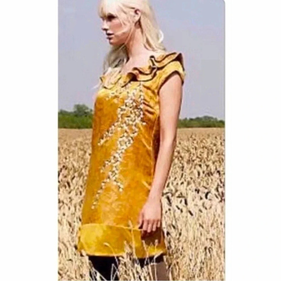 Anthropologie Dresses & Skirts - Anthropologie Floreat Gilded Catkins Linen Silk Embroidered Gold Dress Size 6
